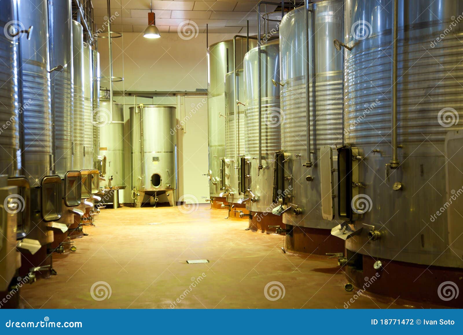 Modern Winery Fermenting Facility Stock Photo Image of ripe, facility 18771472