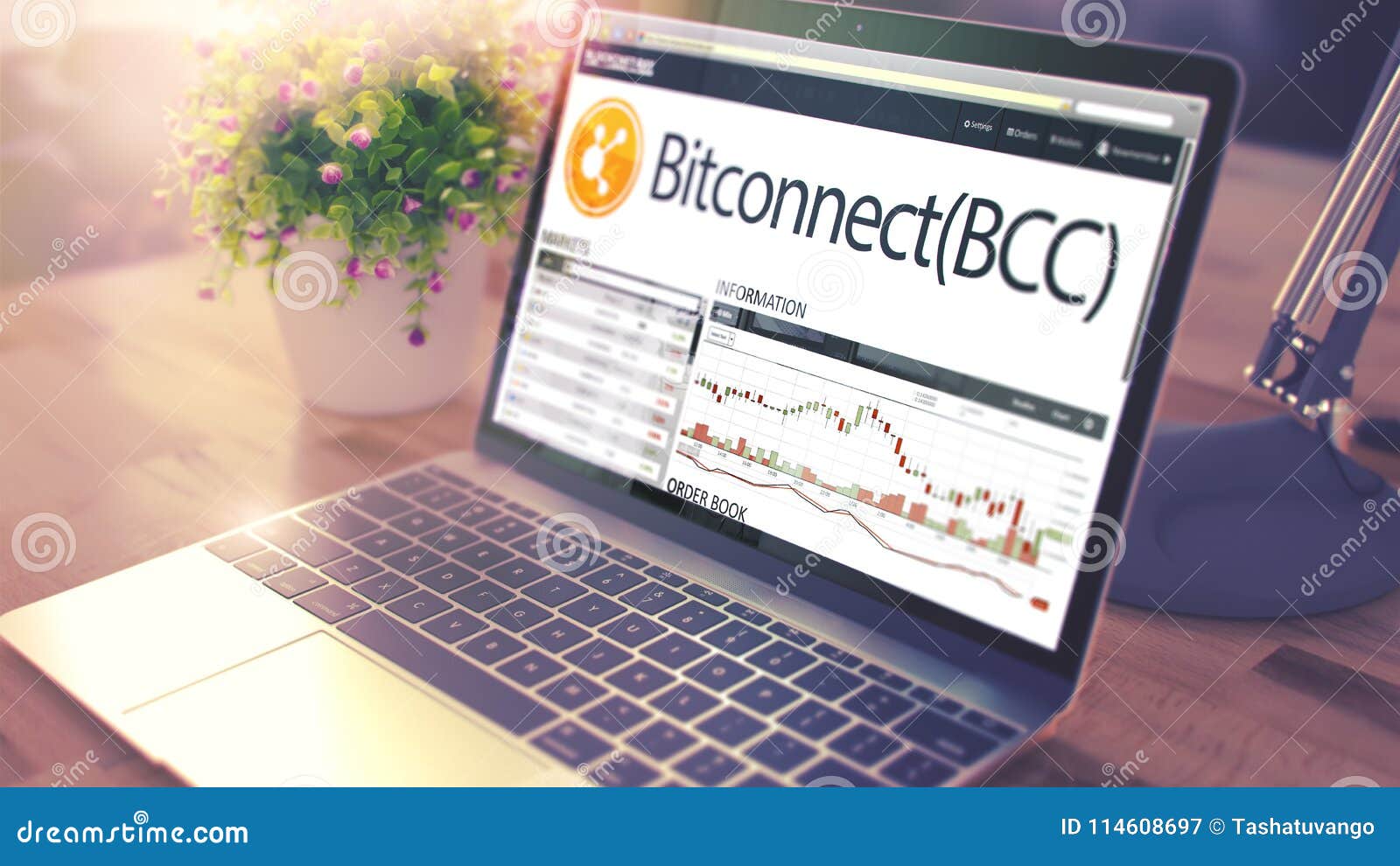 bitconnect on the laptop screen. cryptocurrency concept.