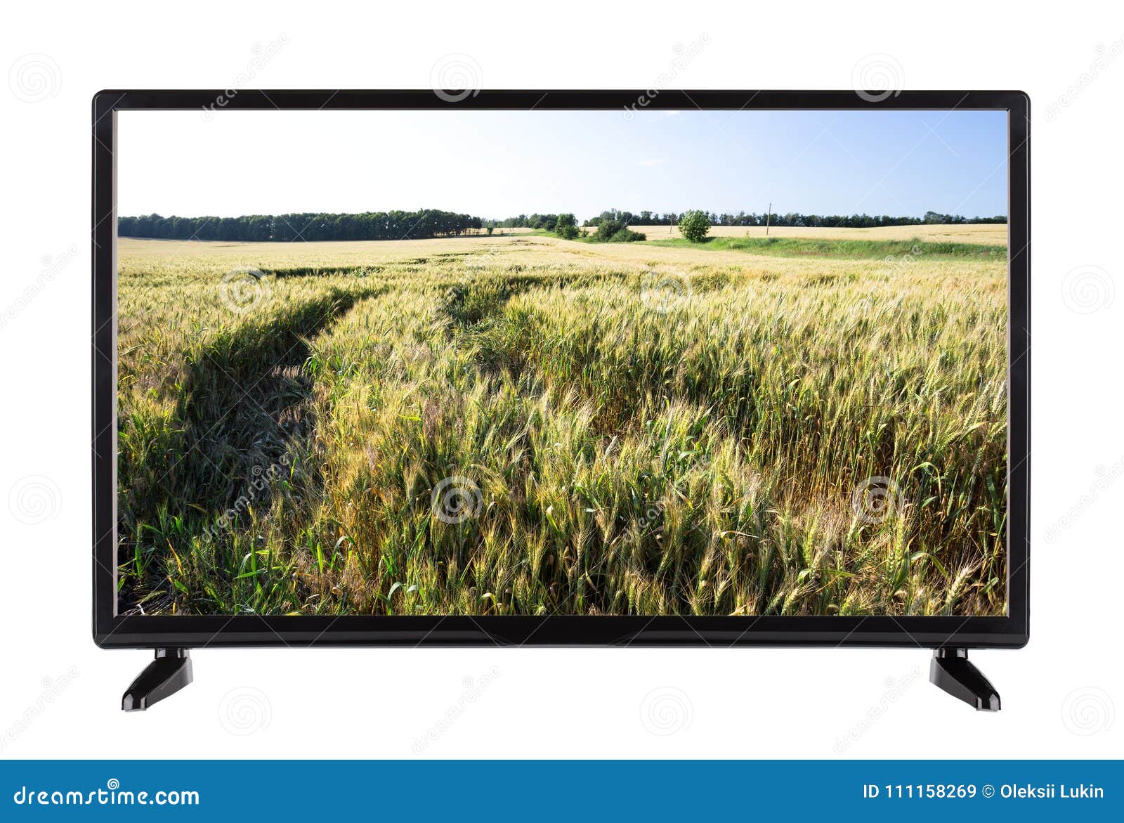 Moderne High-definition TV Met Gebied Van Groene Oren Op Het Scherm ...