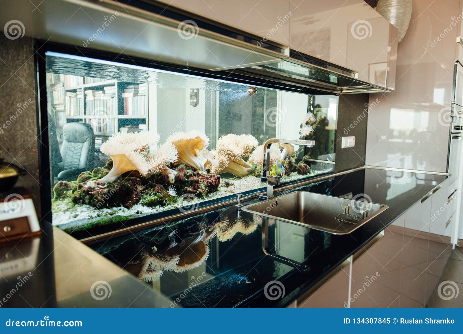 Overtollig Afwijking opvolger Moderne Mooie Die Keuken Met Een Groot Transparant Aquarium Wordt Verfraaid  Stock Afbeelding - Image of vissen, binnen: 134307845