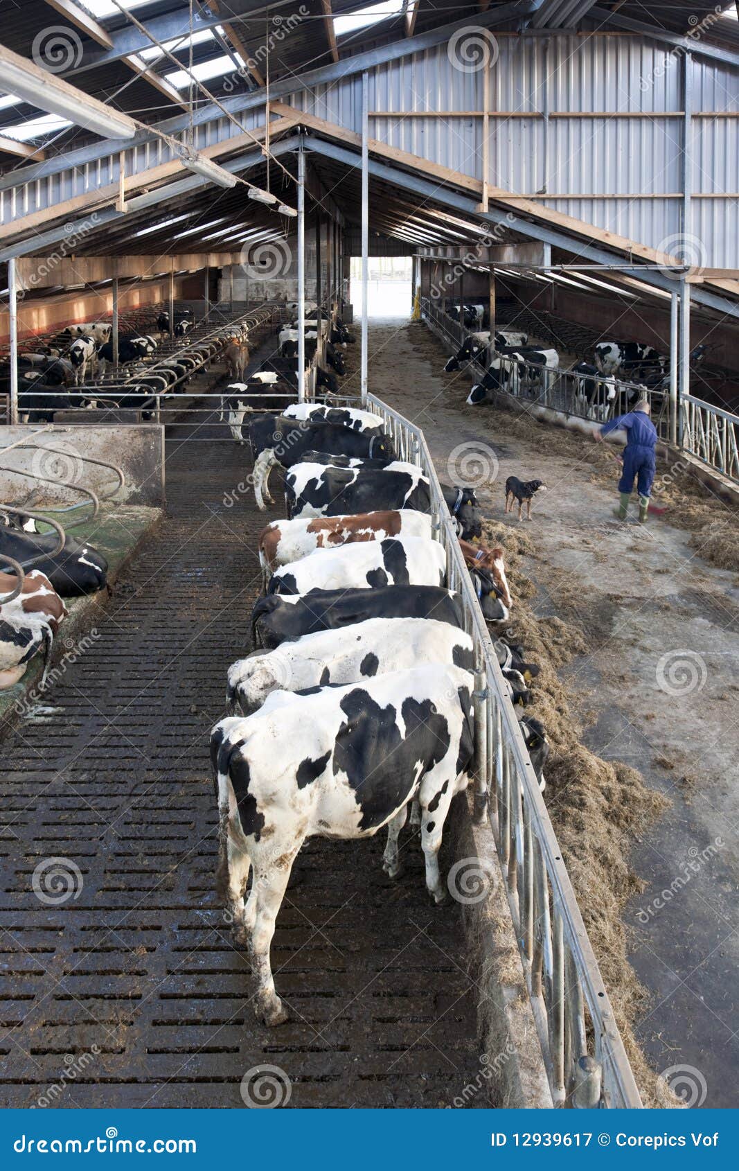 Moderner Stall stockbild. Bild von holz, schlafen, funktion - 12939617