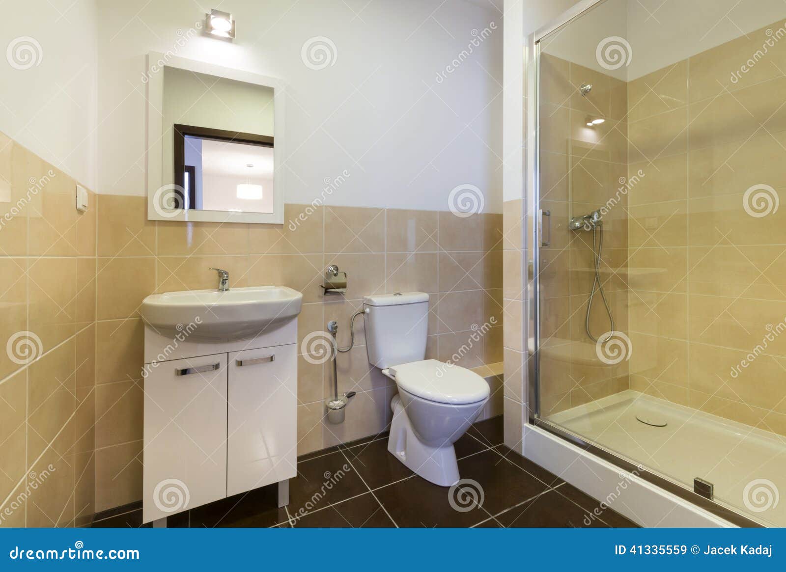 Modernt badrum med vaskar, toalett arkivfoto bild: 41335559
