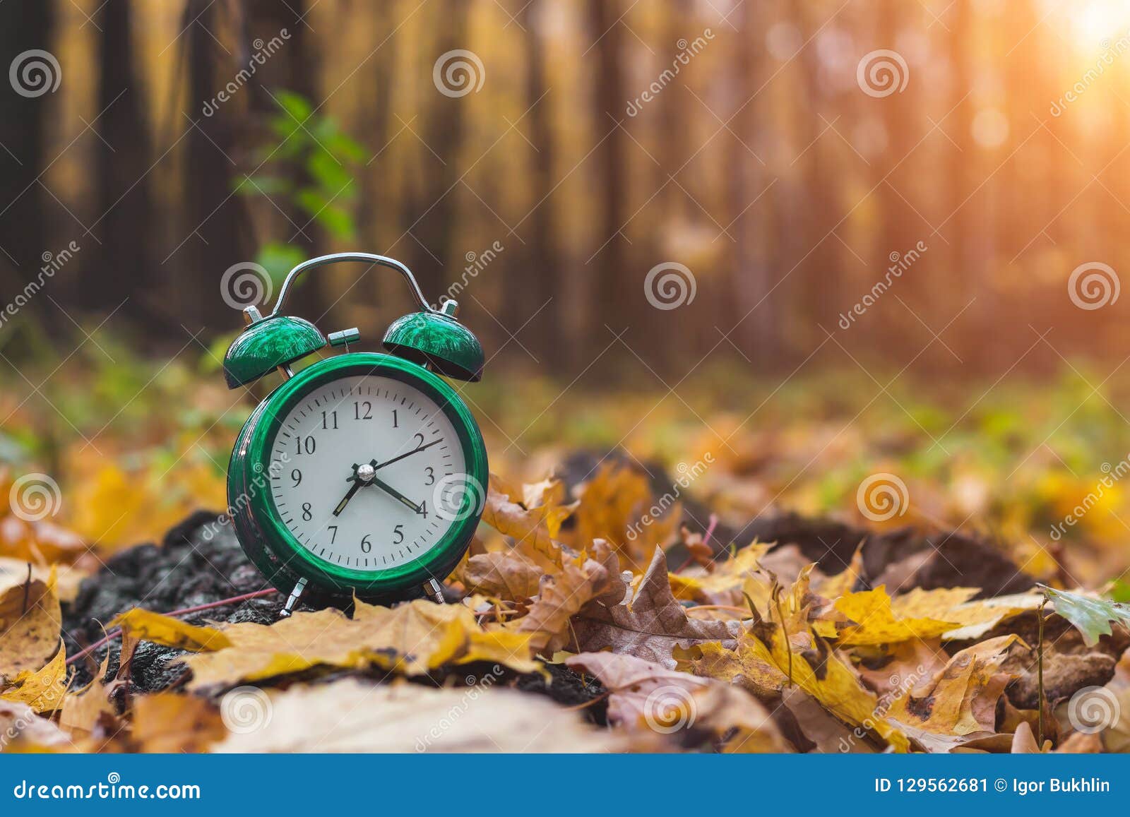 Modo Do Outono Bom Dia a Natureza Acorda Mude a Estação De Volta à Escola Imagem de Stock - Imagem de floresta, folha: 129562681 Modo Do Outono Bom Dia a Natureza Acorda Mude a Estação De Volta à Escola Imagem de Stock - Imagem de floresta, folha: 129562681