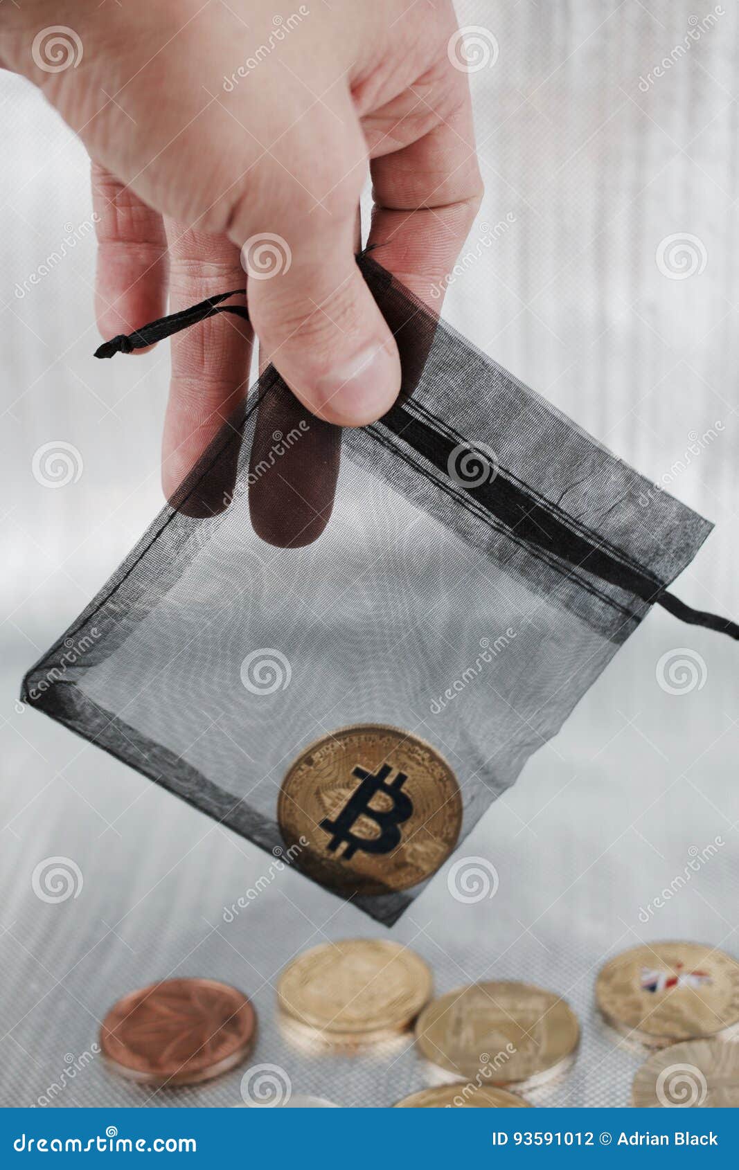 Moeda Do Bitcoin Do Ouro No Saco Preto Foto de Stock - Imagem de ouro,  risco: 93591012
