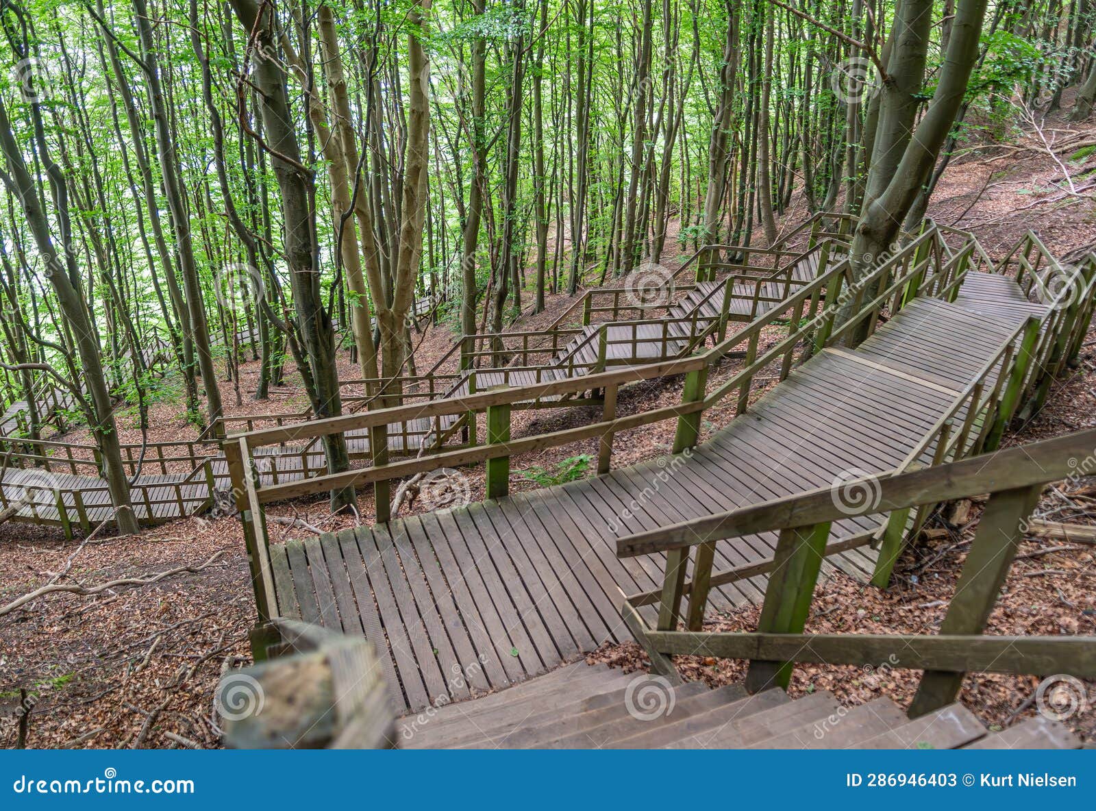 moens klint, chalk formations in denmark