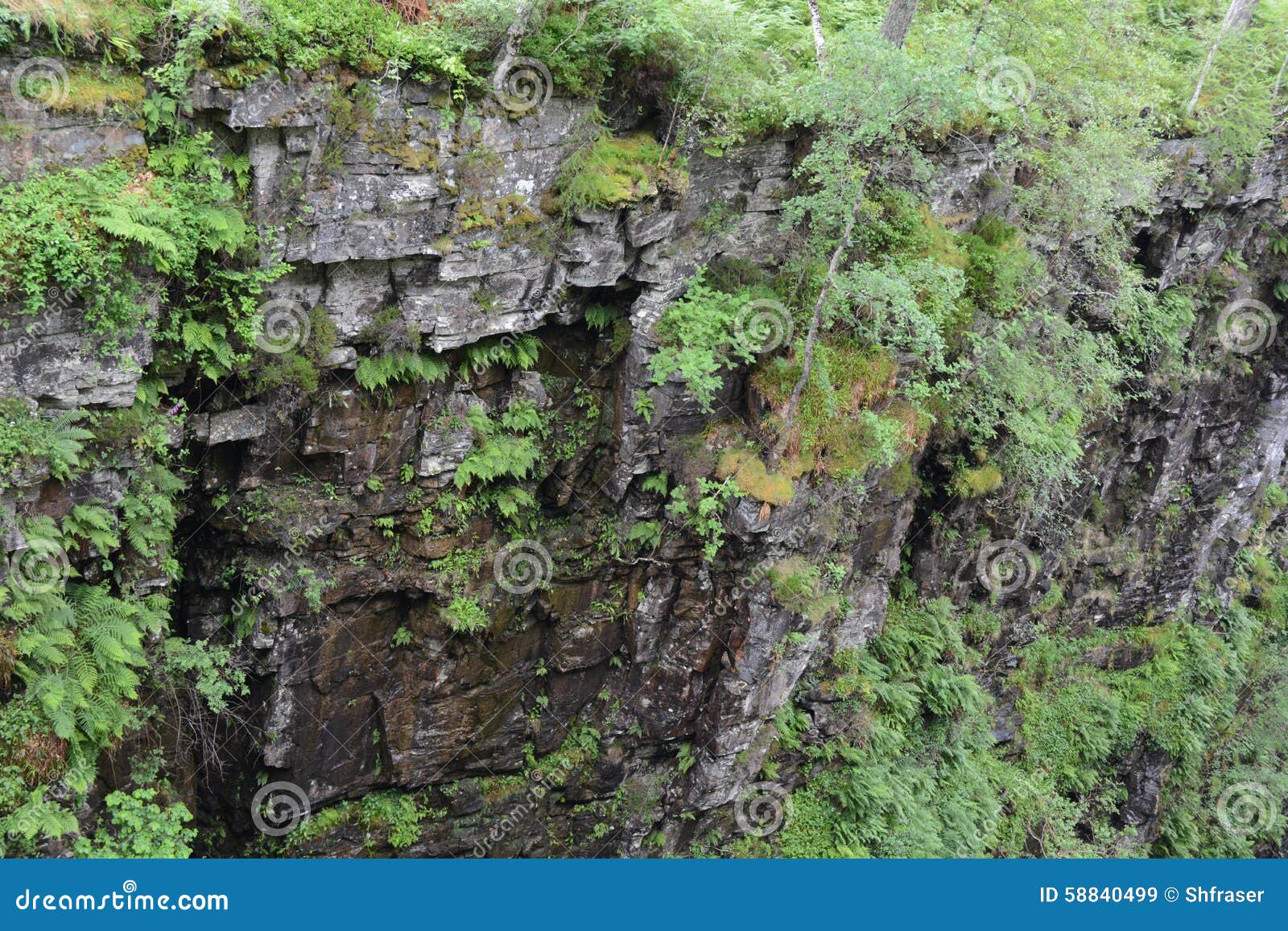 moine schist rocks on sidewall of gorge, ferns and trees