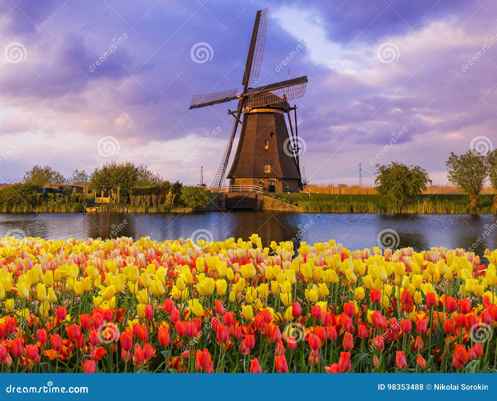 Bela Vista Rural No Sul Da Holanda Com Um Antigo Moinho De Vento Holandês  Tradicional Em Kinderdijk Foto Royalty Free, Gravuras, Imagens e Banco de  fotografias. Image 166232651