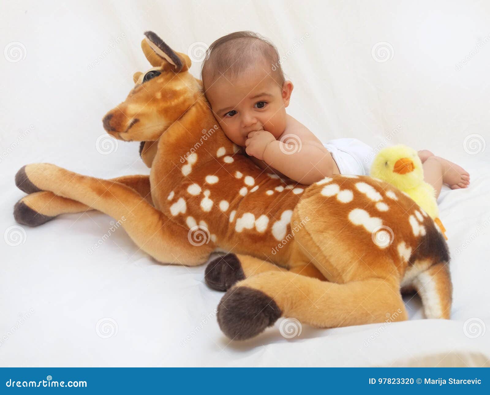 4 Mois De Bebe Garcon Jouant Avec Le Jouet Mou Cher Et Le Poussin Photo Stock Image Du Nana Enfance 9733 4 Mois De Bebe Garcon Jouant Avec Le Jouet Mou Cher Et Le Poussin Photo Stock Image Du Nana Enfance 9733