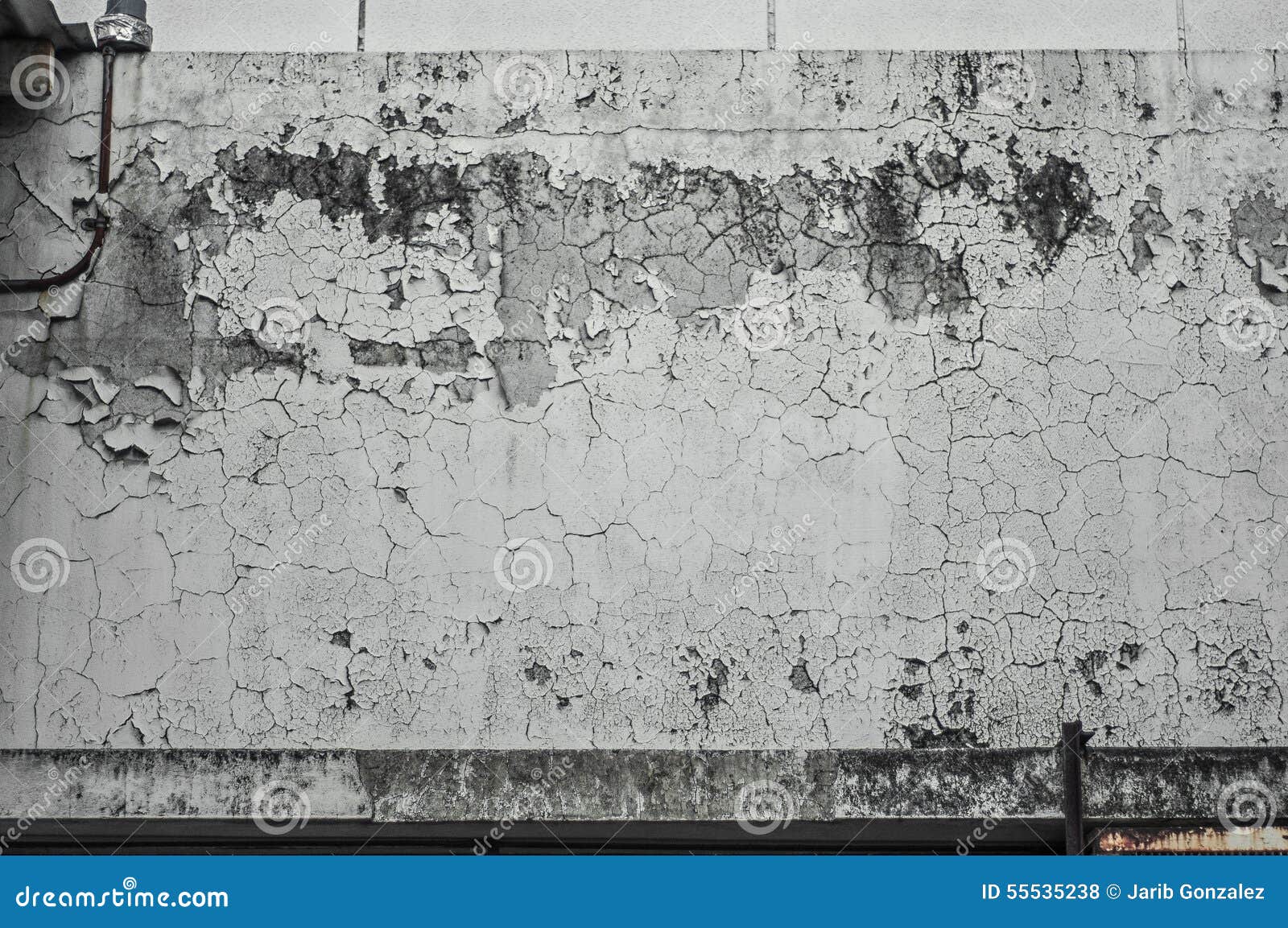 Moisture Wall stock photo. Image of dirty, fungus, white 55535238