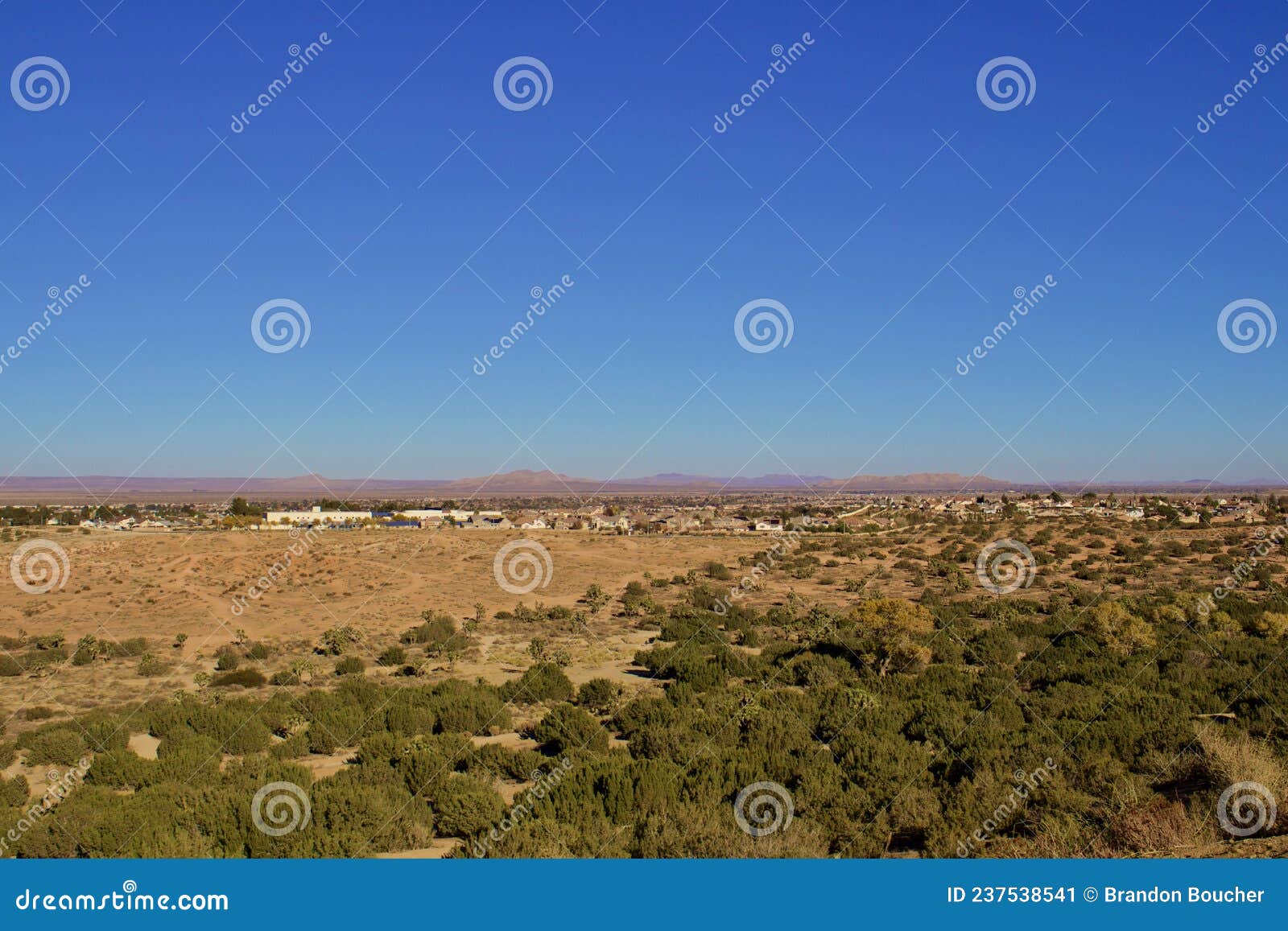 Beautiful Mojave Desert Landscape on Sunny Day Stock Image - Image of ...