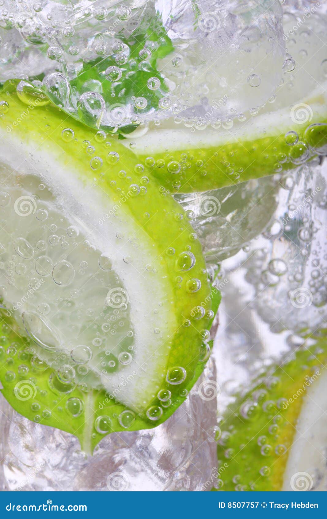 Mojito cocktail stock image. Image of lemonade, slice - 8507757