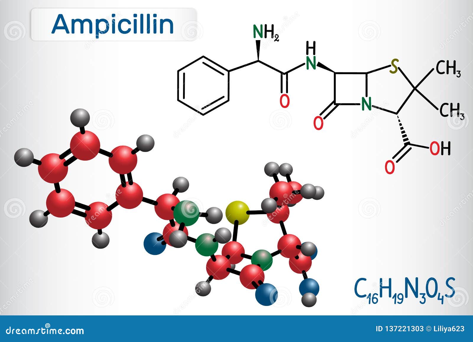 Molecula Da Droga Da Ampicilina E Antibiotico Da Beta Lactana Modelo Estrutural Da Formula Quimica E Da Molecula Ilustracao Do Vetor Ilustracao De Vetor Droga Molecula Da Droga Da Ampicilina E Antibiotico Da Beta Lactana Modelo Estrutural Da Formula Quimica E Da Molecula Ilustracao Do Vetor Ilustracao De Vetor Droga