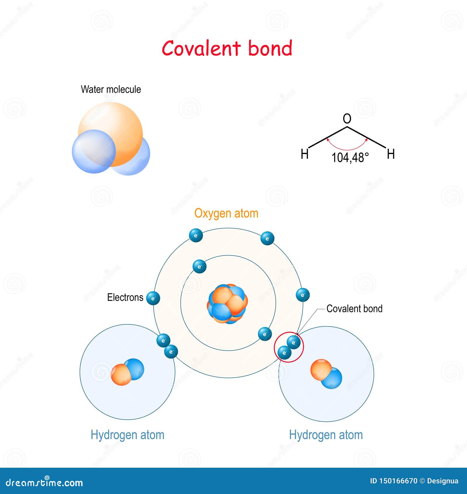 Molécula De Agua Del Enlace Covalente Por Ejemplo H2O Ilustración del  Vector - Ilustración de modelo, aislado: 150166670