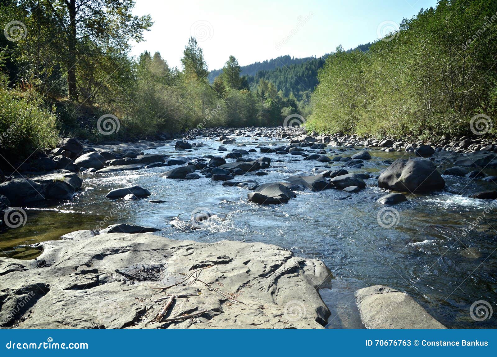 Molalla River stock image. Image of rocks, stream, trees 70676763