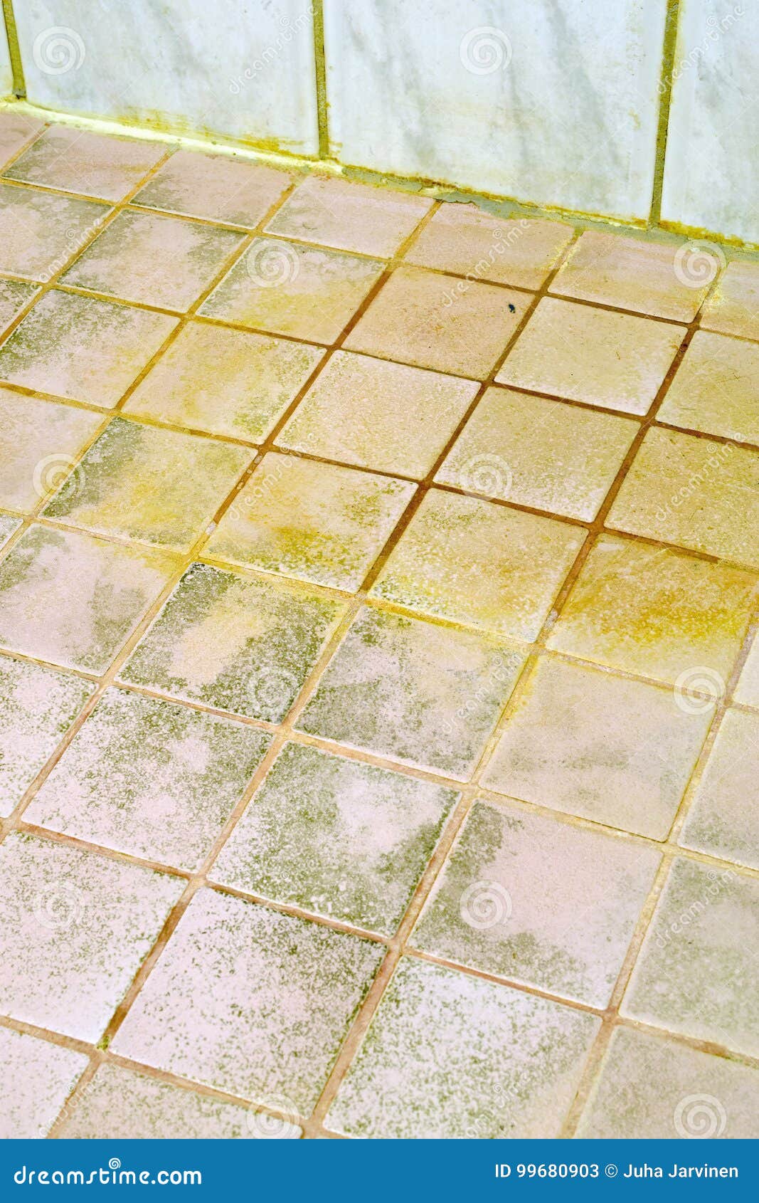 Mold On The Bathroom Tile Floor
