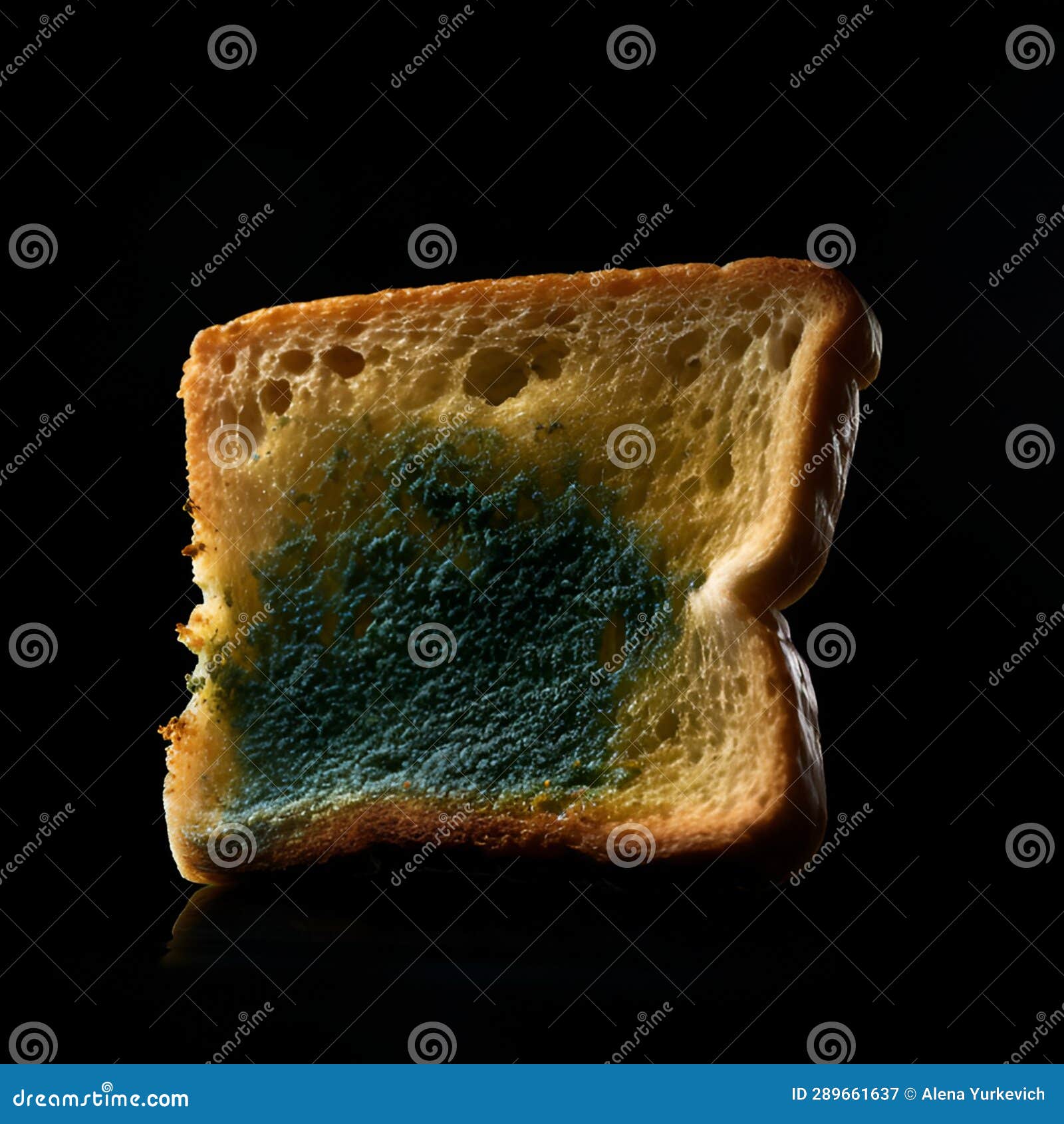 Mold on bread stock image. Image of expired, sliced 289661637