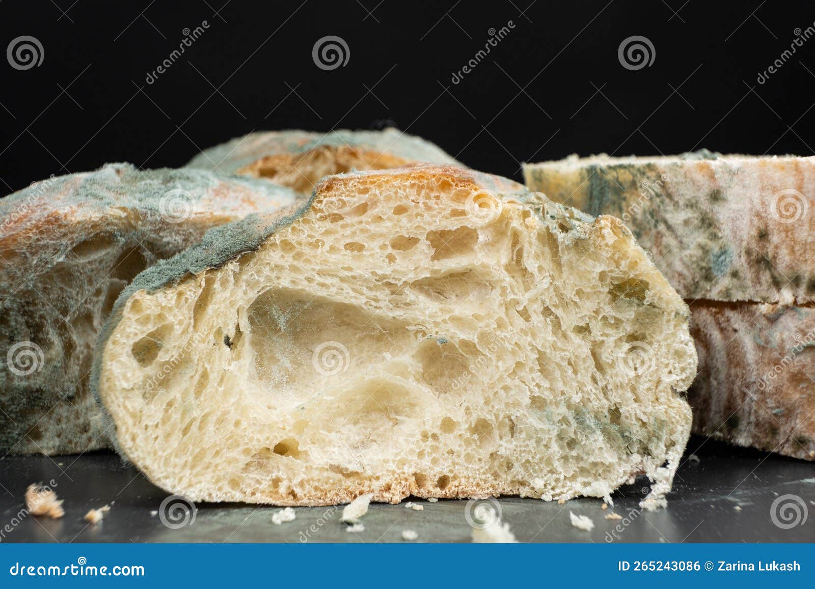 Mold on Bread on a Black Background Closeup. the Danger of Mold, Stale