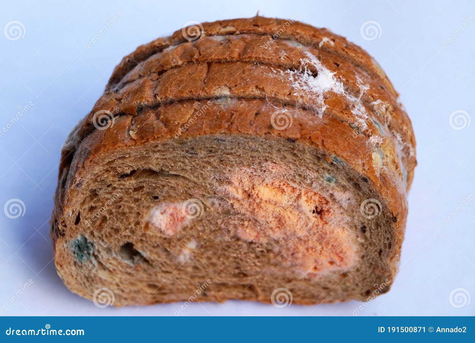 Mold on bread close up stock image. Image of fungi, eating - 191500871