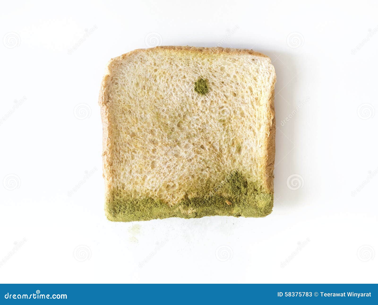 Mold on bread isolated stock image. Image of moldy, object 58375783