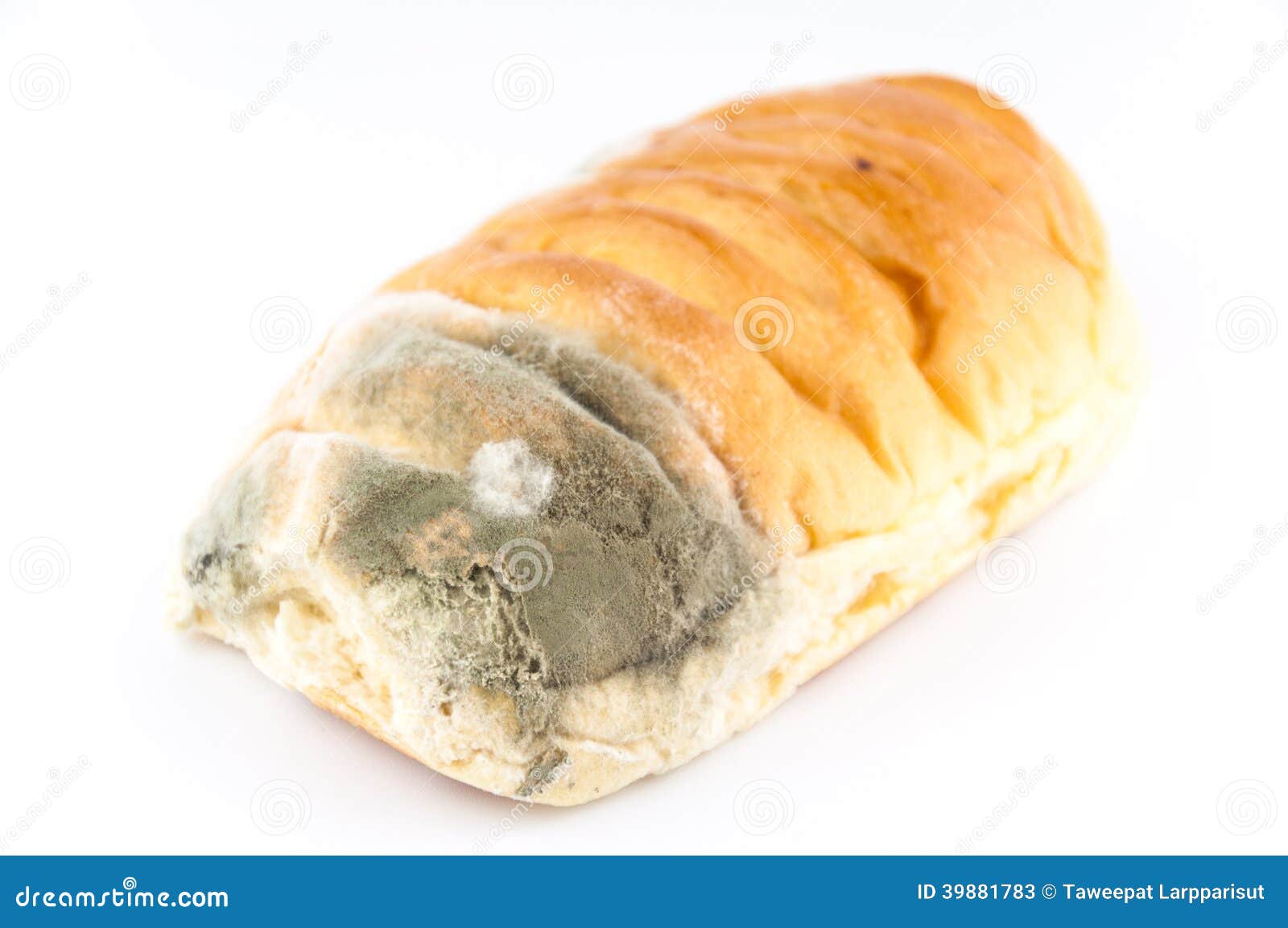 Mold on bread stock image. Image of rotten, decay, food 39881783