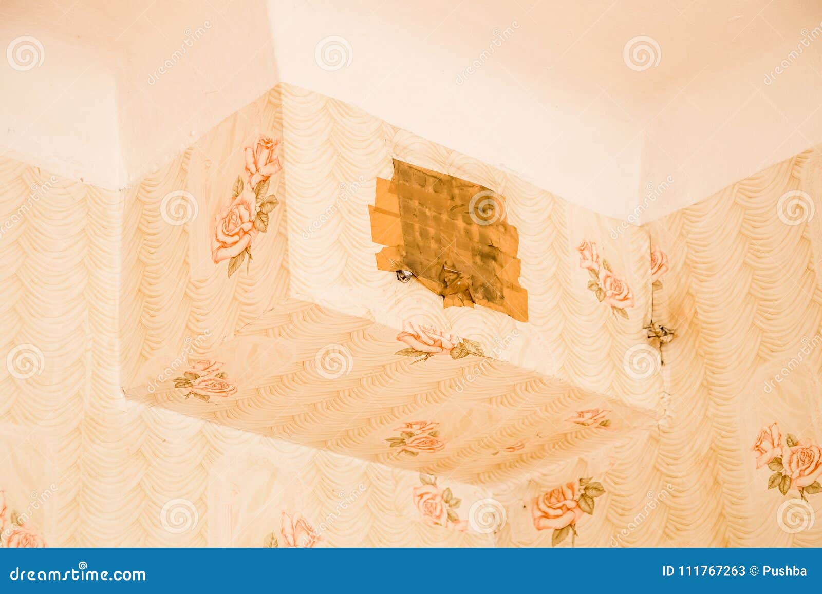 Mold On The Ceiling In The Old Apartment Stock Image Image Of