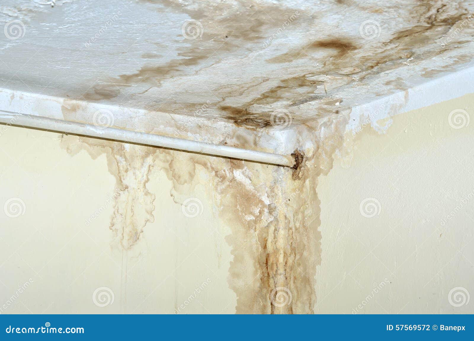 Mold On The Ceiling And Rusty Pipe On The Wall Stock Photo Image