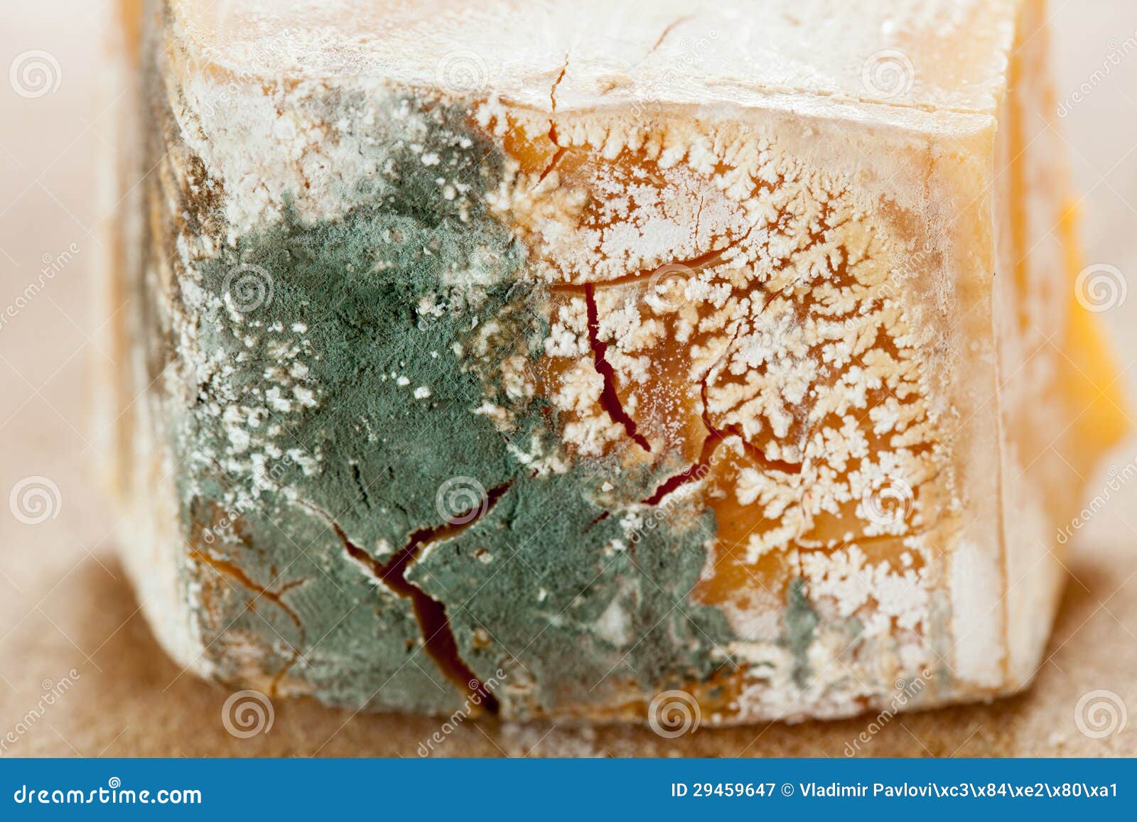 Mold On Cheese Royalty Free Stock Photography Image 29459647