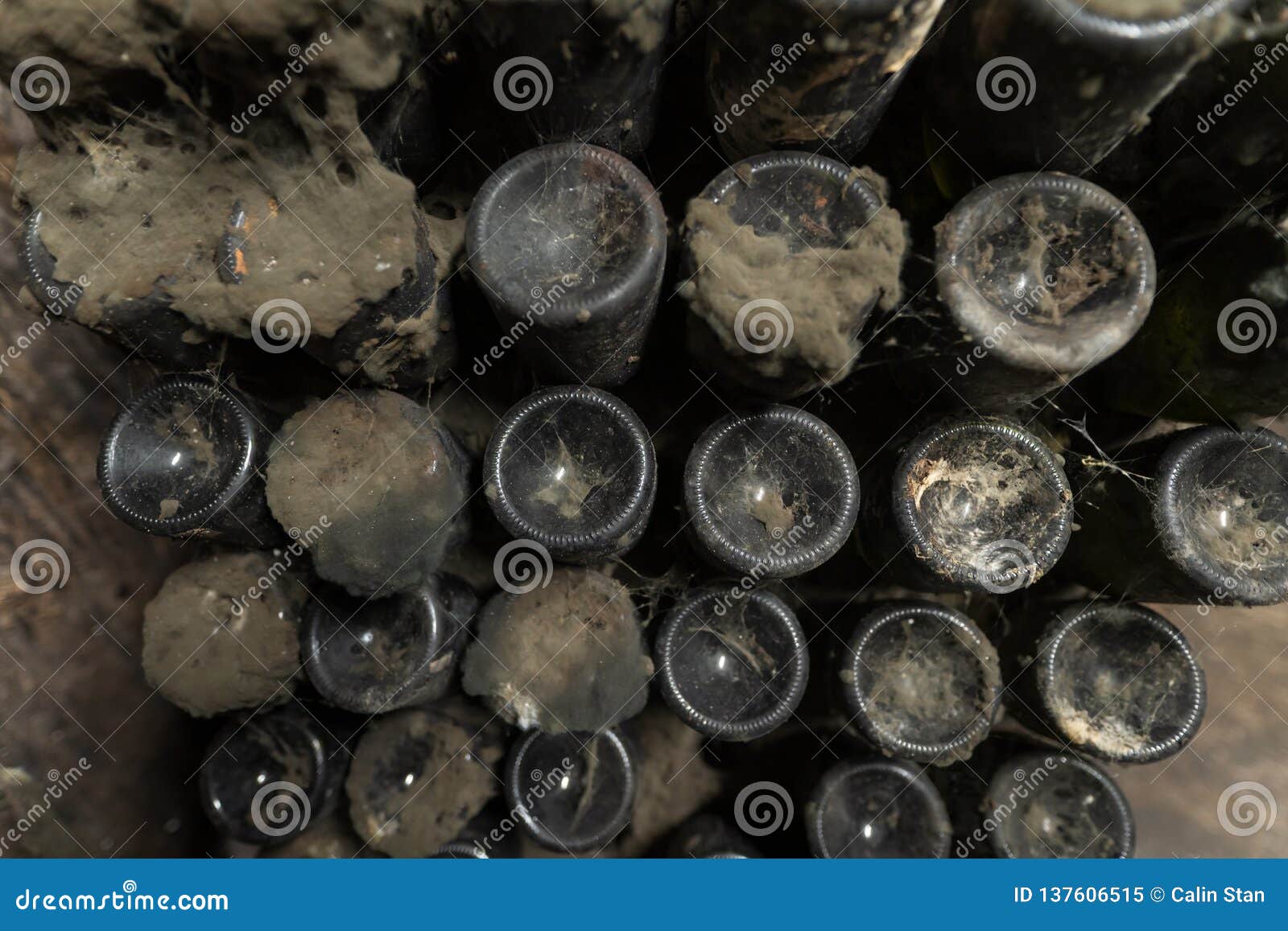 Mold, Cobweb and Dust on Vintage Wine Bottles in an Underground Cellar