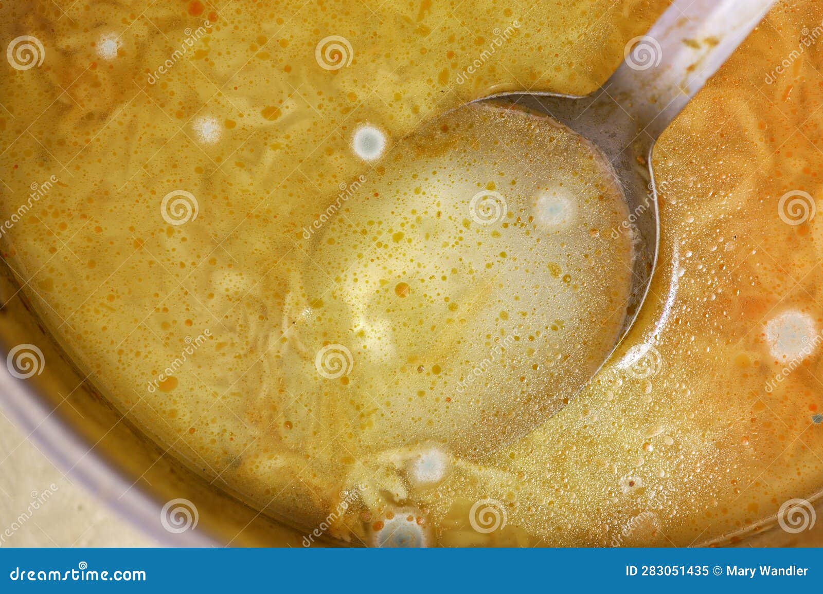 Mold Growing on Chicken Noodle Soup Stock Image Image of biology