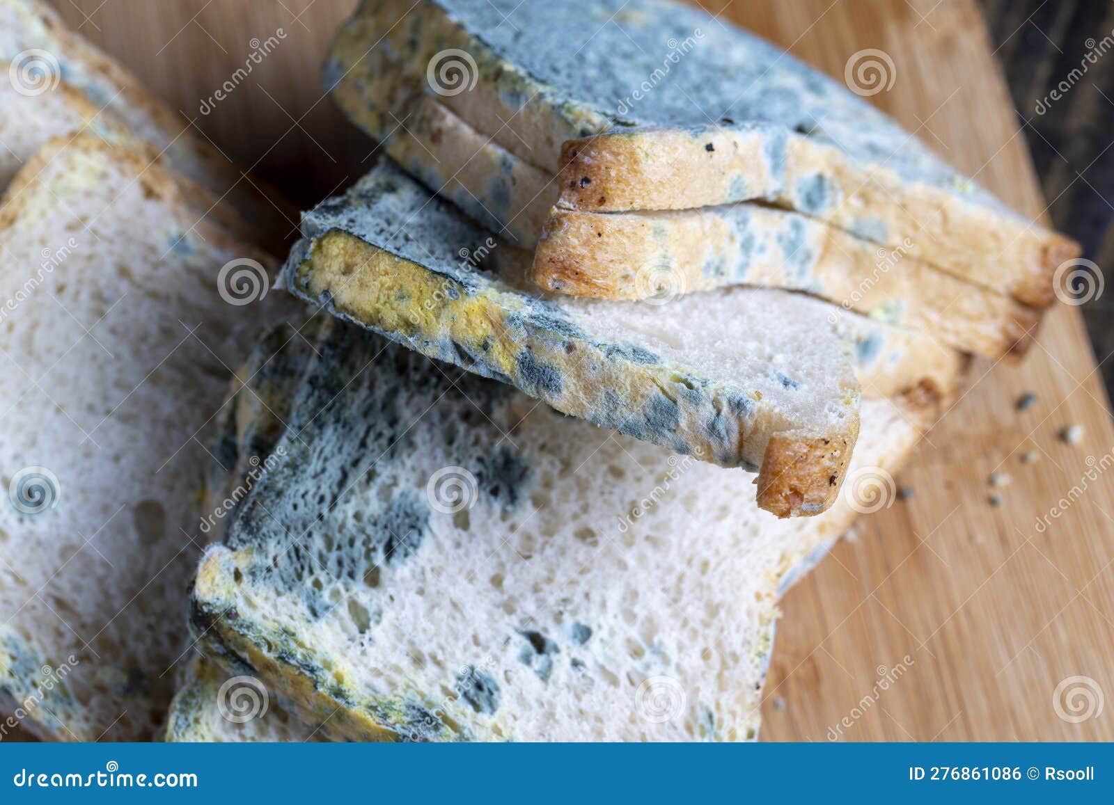 Spoiled Moldcovered Dangerous Pieces of Bread Stock Photo Image of