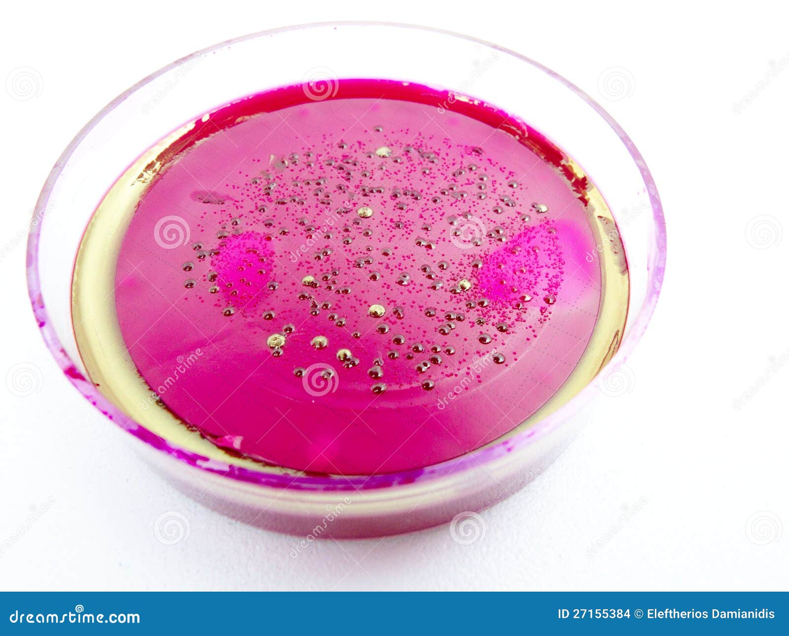 Mold Growing In A Petri Dish Stock Images Image 27155384