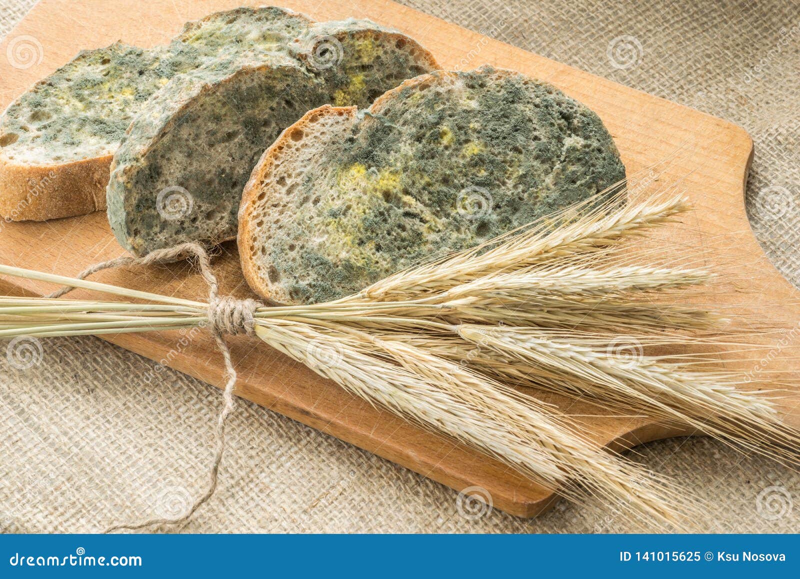 Mold Growing Rapidly On Moldy Bread In Green And White Spores. Stock