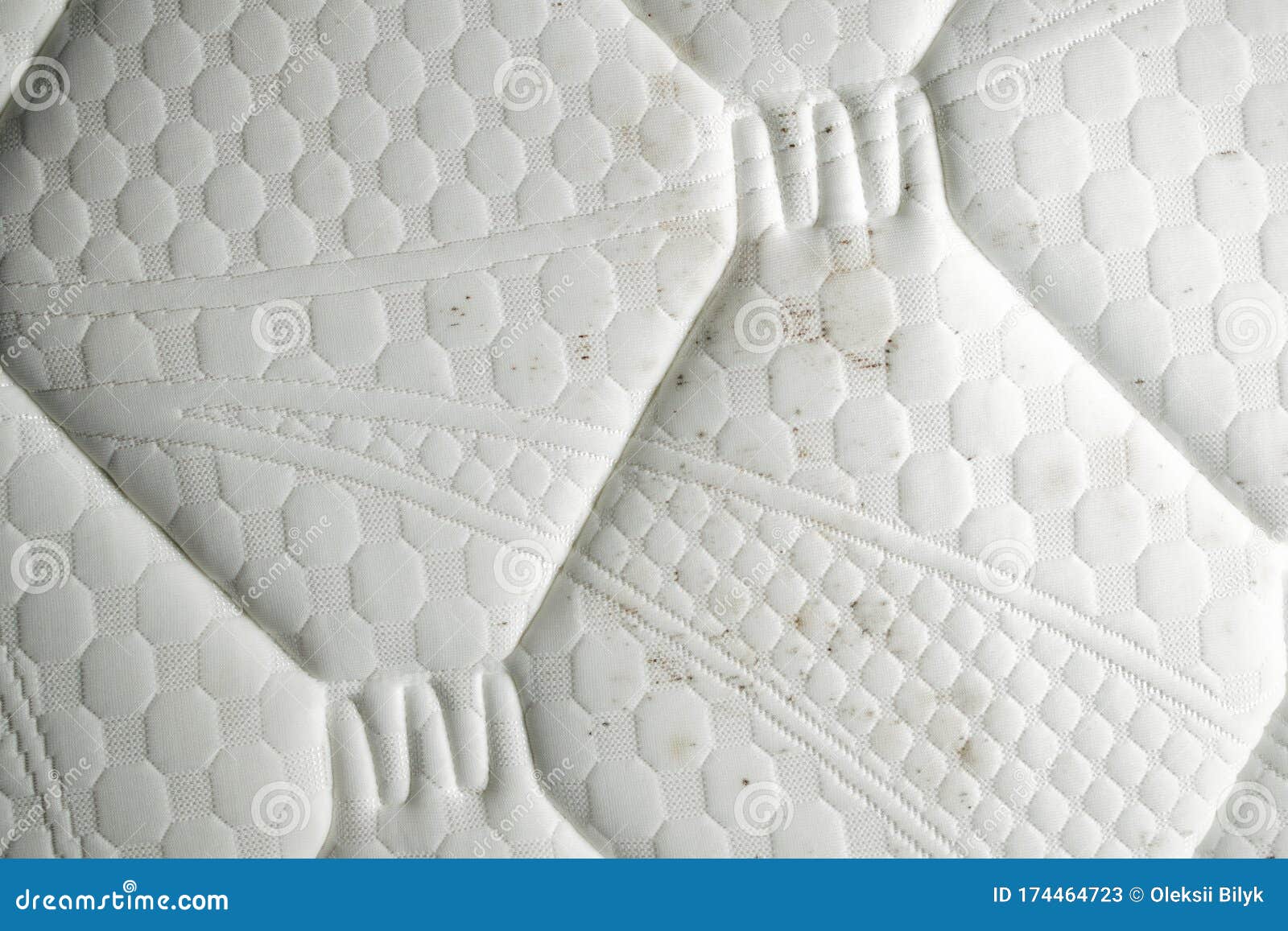 Mold on a Mattress. Black Stains on a White Fabric Stock Image Image of cloth, fabric 174464723