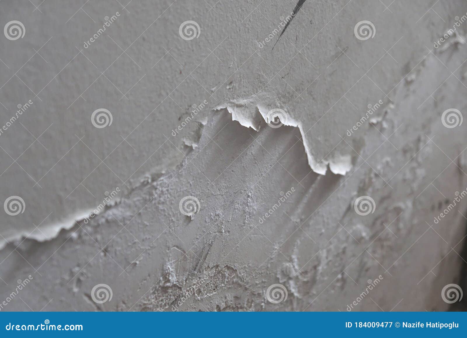 Mold Molded Due To Moisture, Moisture and Paint Spill, Mold and