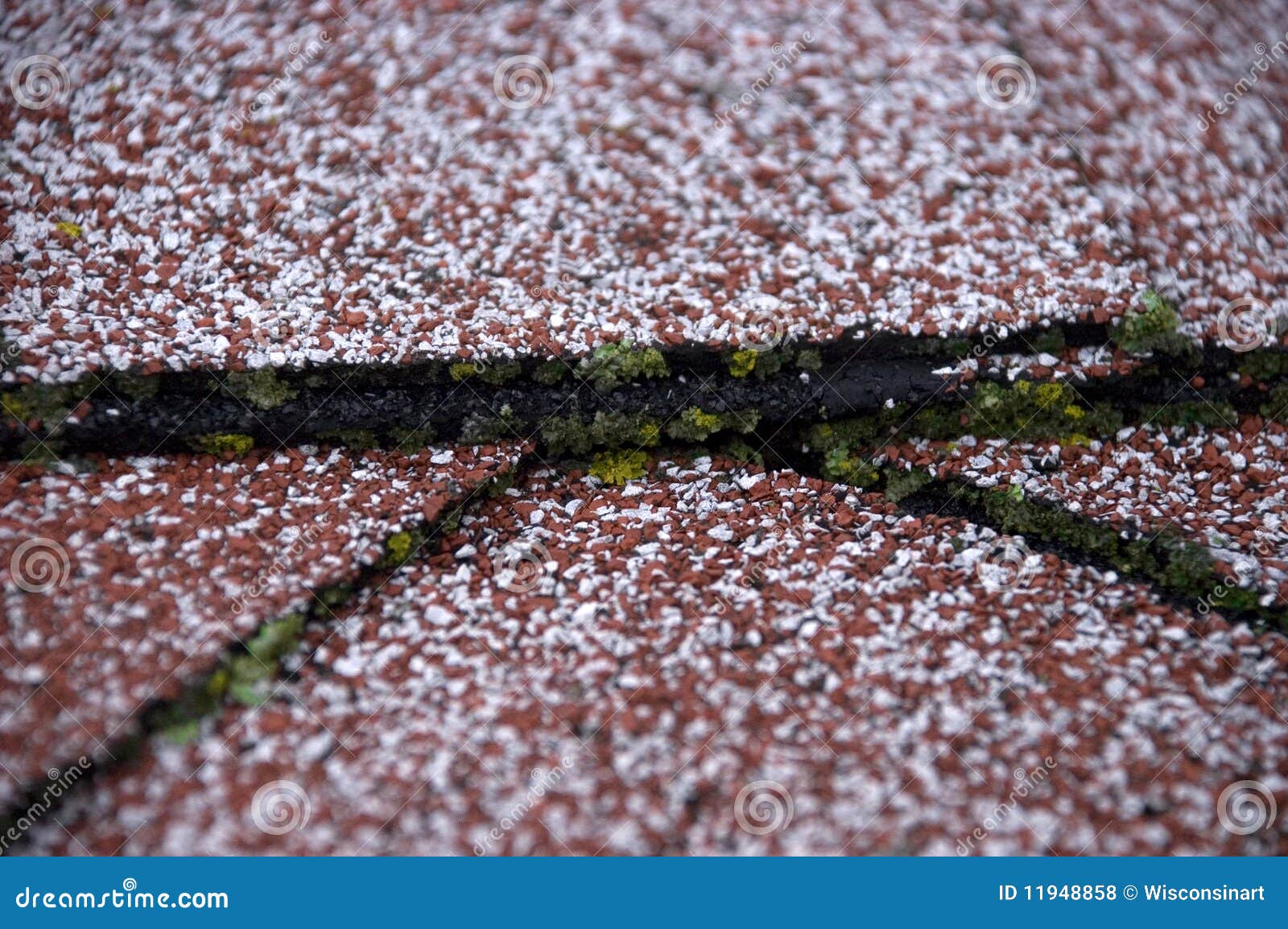Moss On Shingles Stock Image 124058359
