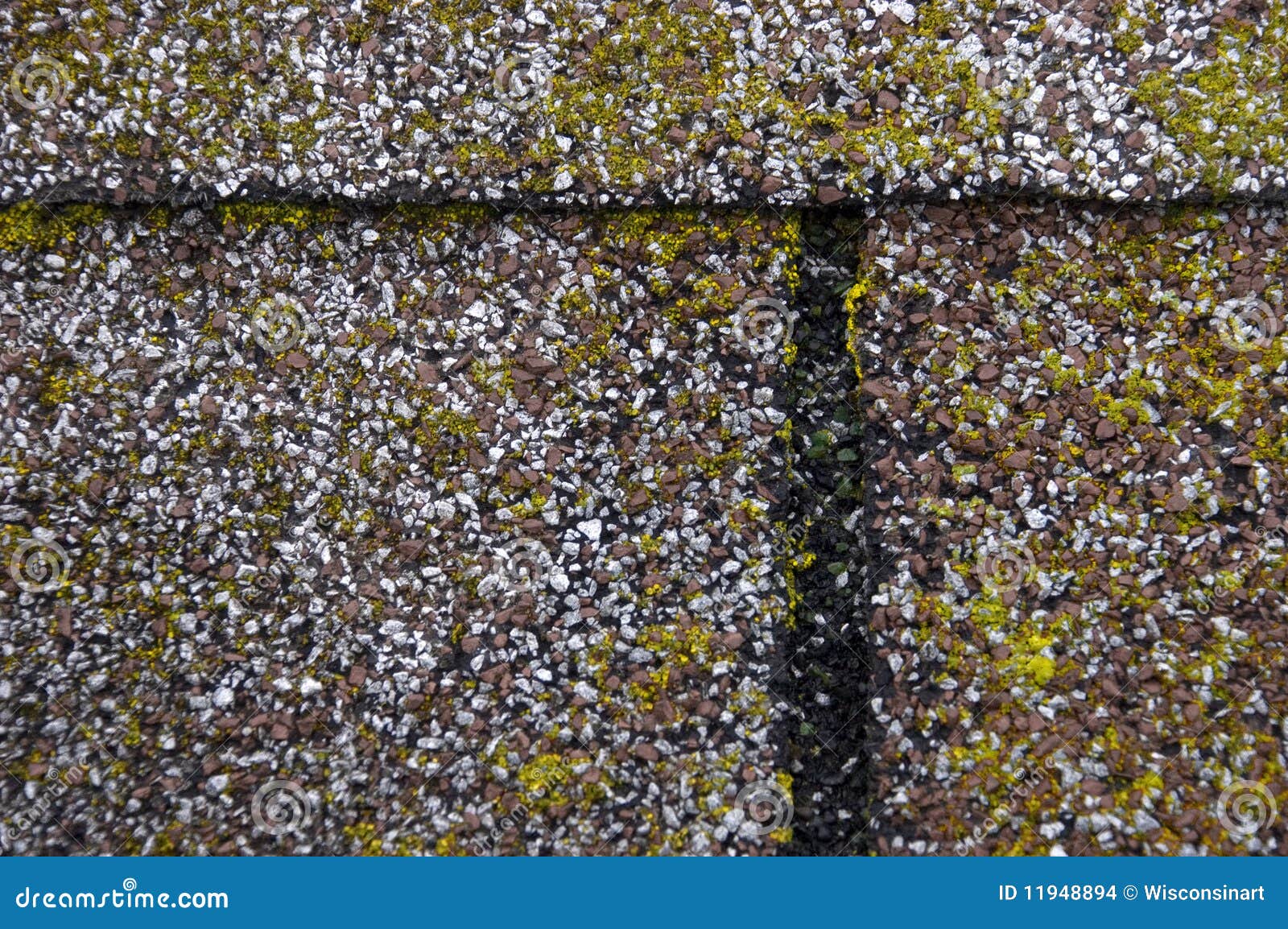 Mold/Moss Damage on House Roof Shingles Stock Photo Image of