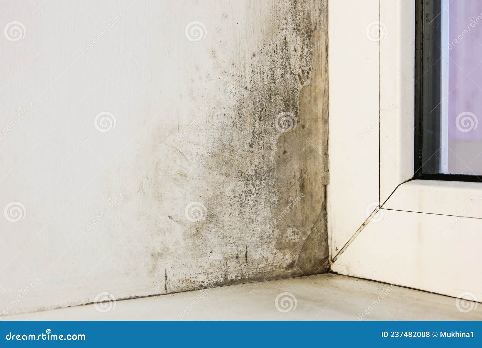 Mold Near a Window in the House Stock Photo Image of fungal, renovate