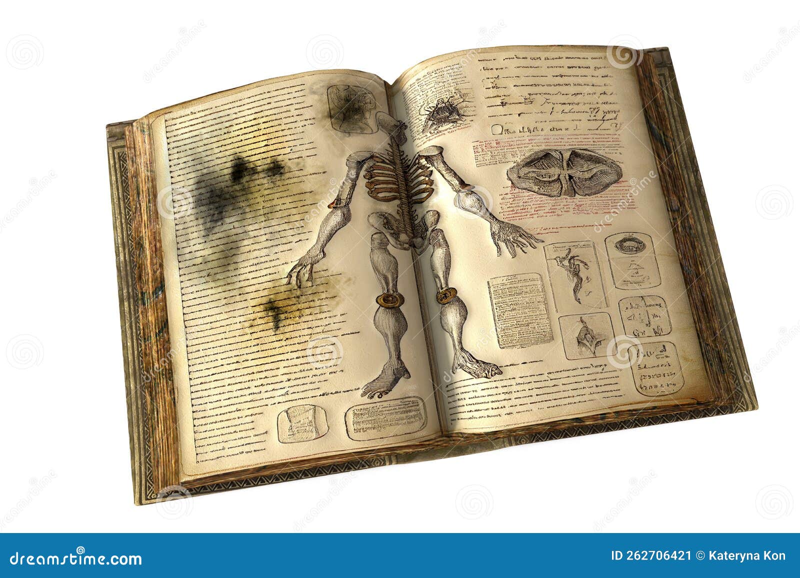 Mold In Old Books Conceptual Illustration Stock Illustration mold-in-old-books-conceptual-illustration-stock-illustration