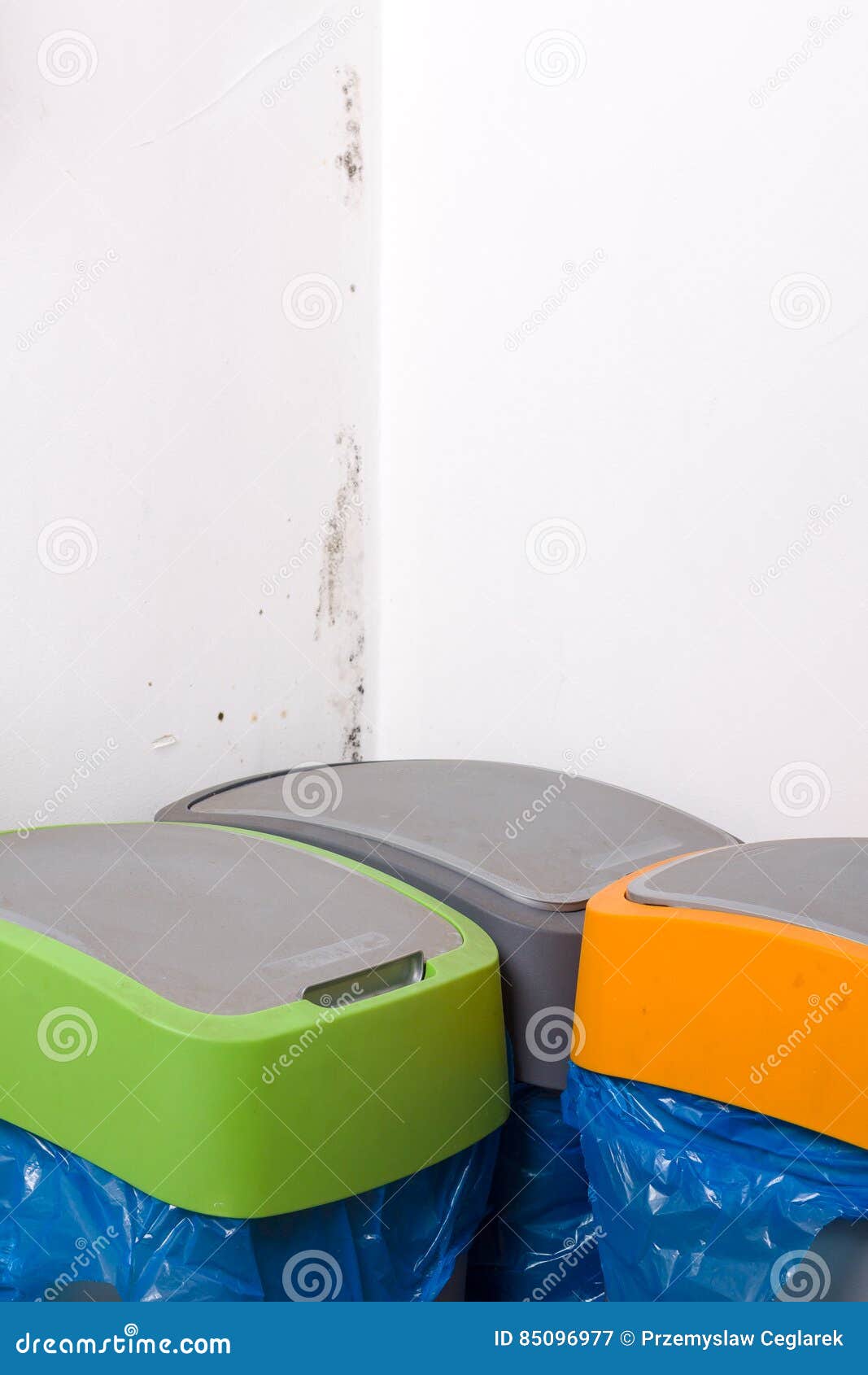 Mold problem in home. stock image. Image of rubbish, mould 85096977