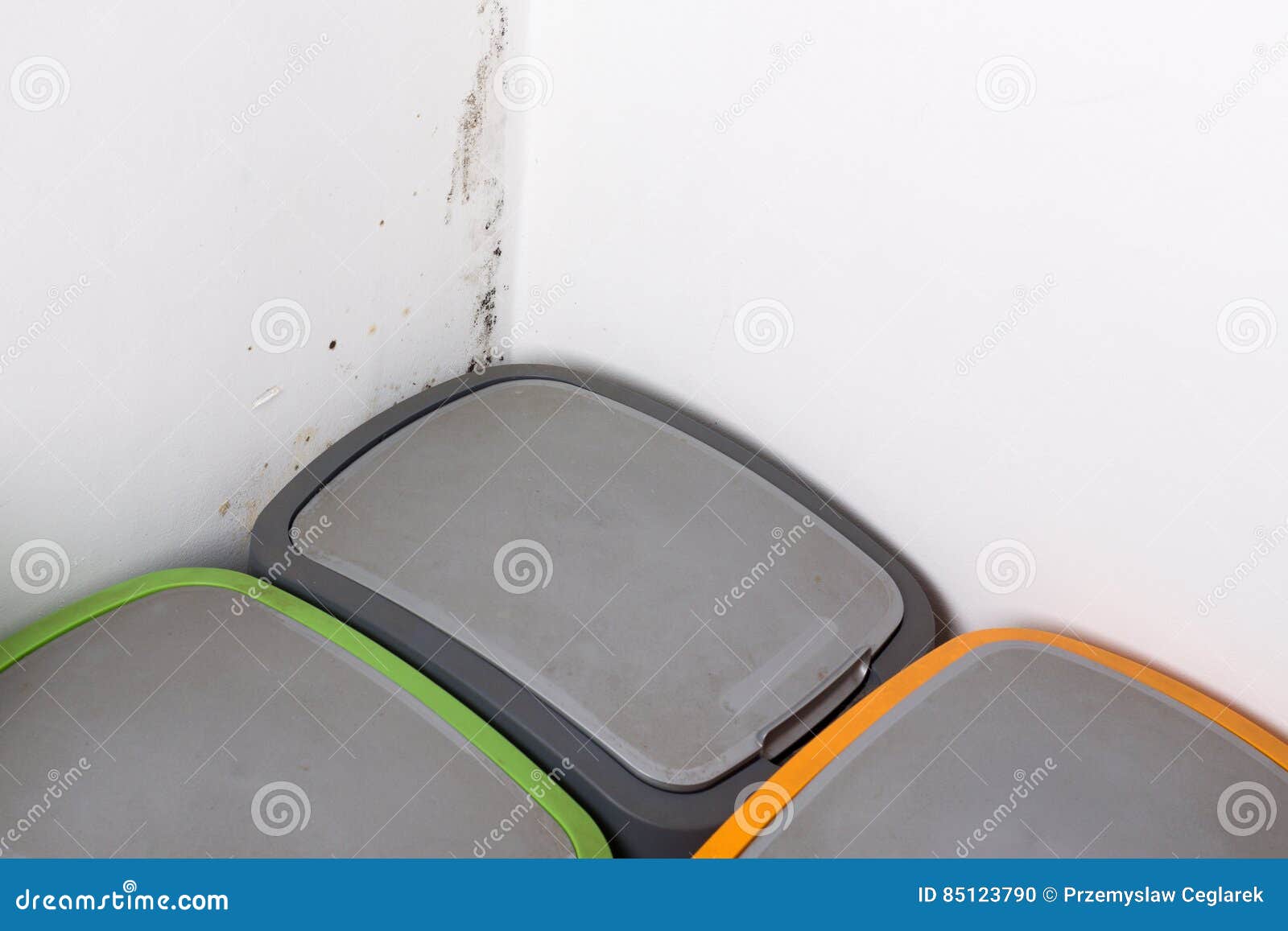 Mold problem in home. stock photo. Image of black, background 85123790