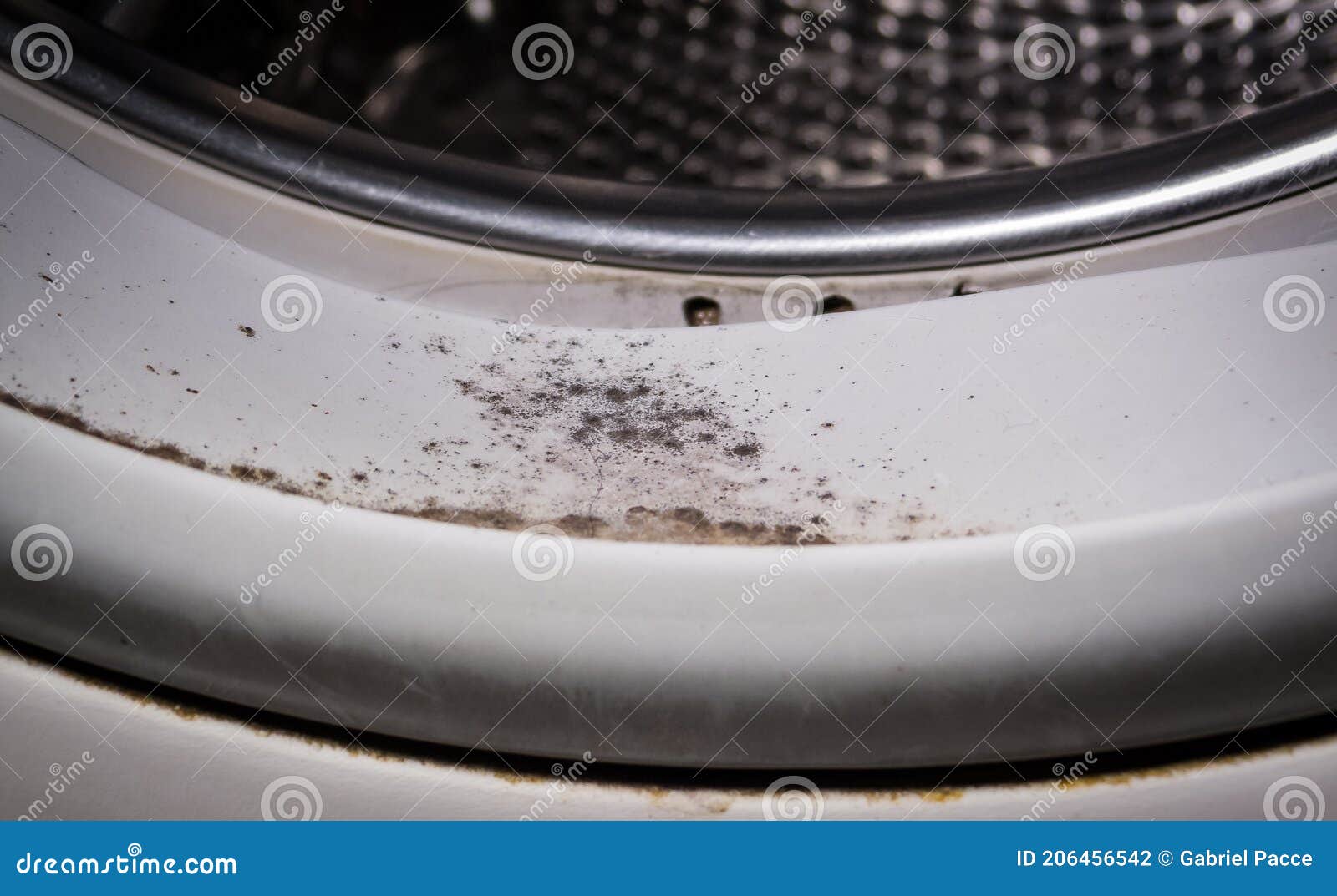 Mold in the Rubber Door of a Washing Machine Stock Photo Image of