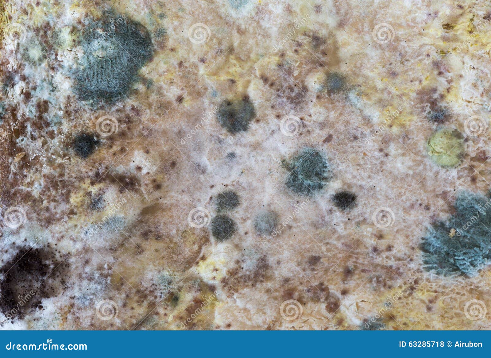 Mold Spores on Slices Bread. Stock Photo Image of healthy, cure 63285718