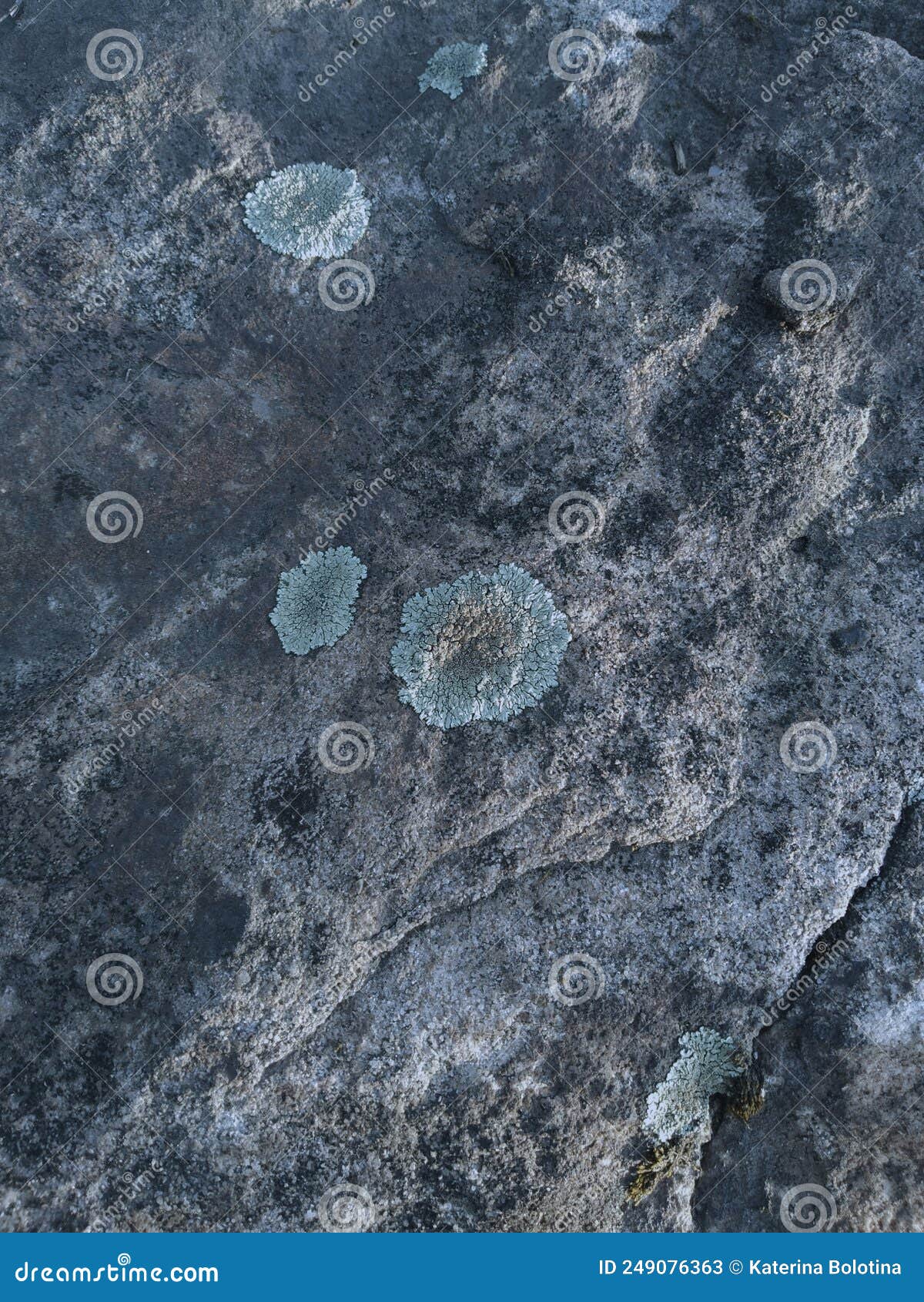 Mold Spores on Stone. Interesting Background, Texture. Natural Stone
