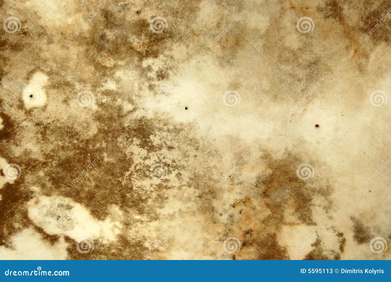 Mold Texture Stock Image Image Of Texture Damaged Abstract