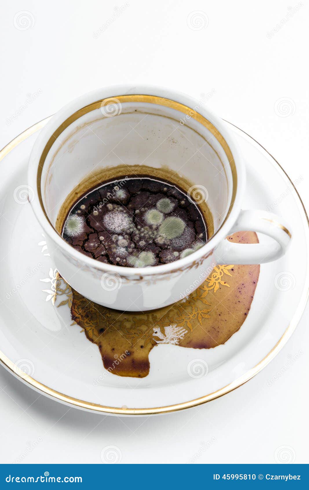 Mold in the unwashed cup stock photo. Image of java, bacteria - 45995810