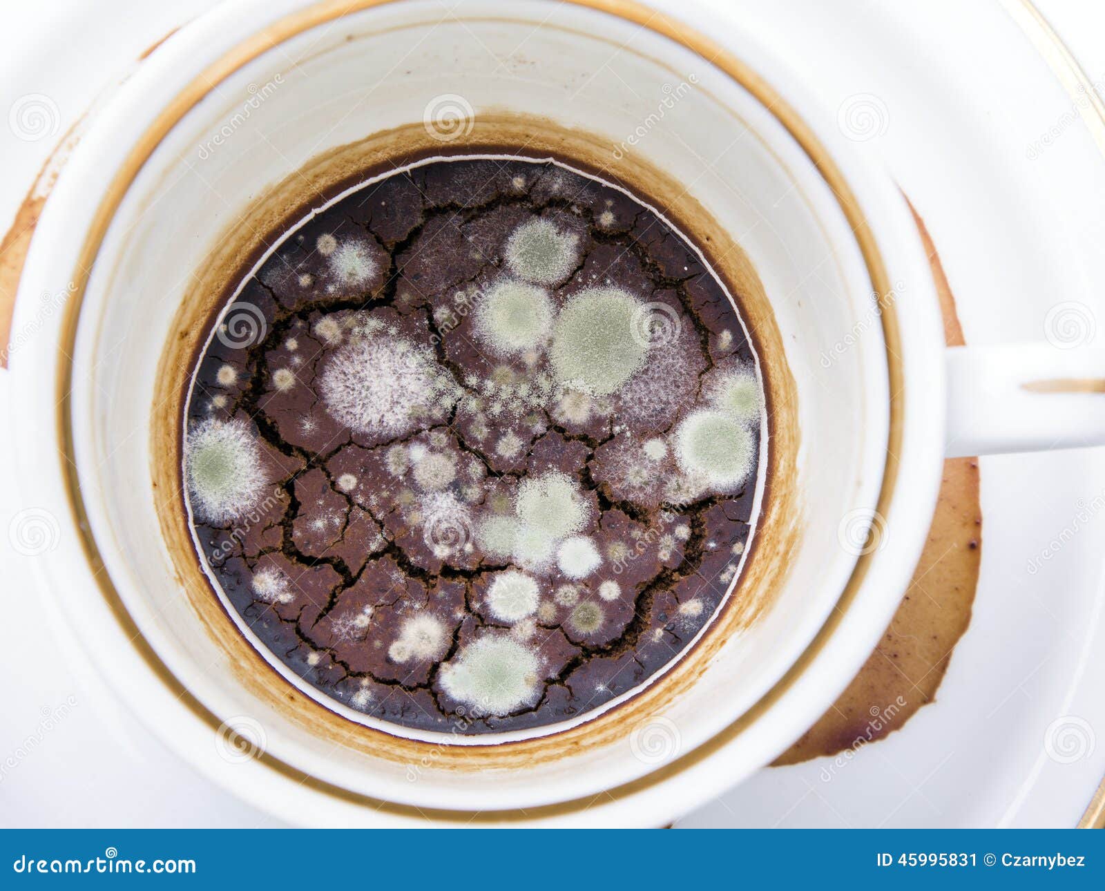 mold-unwashed-cup-coffee-white-background-45995831.jpg