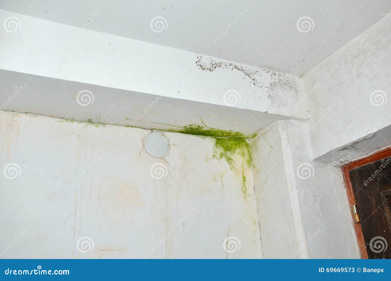 Mold on Wall and Ceiling stock image. Image of allergy 69669573