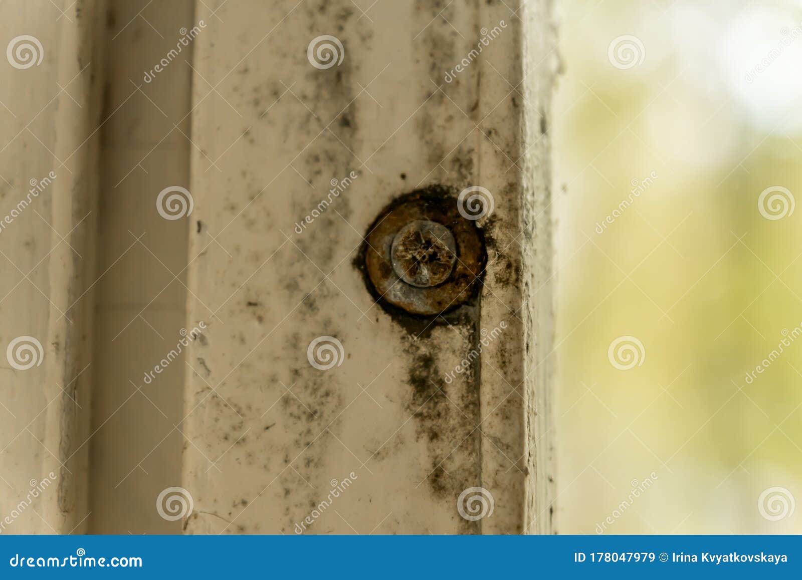how to get rid of mold on window frame