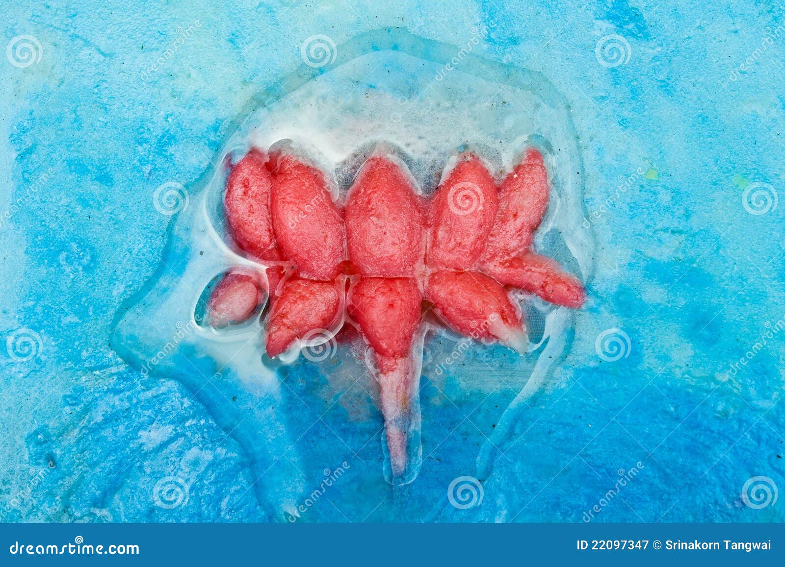 Molding art stock image. Image of thailand, artwork, lines 22097347