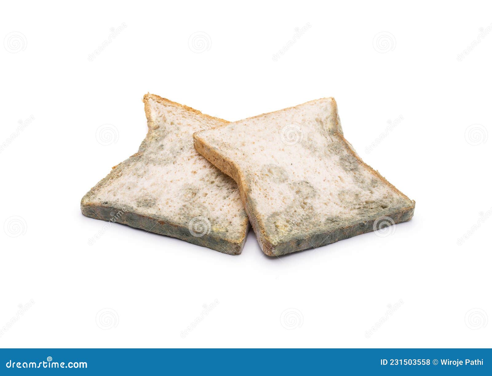 Moldy Bread Expired Bread Isolated on White Stock Photo Image of